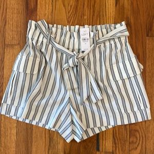 Womens Shorts The Loft Size M